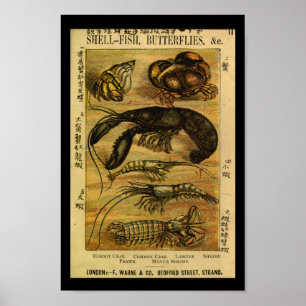 Vintager Krabben-Hummer-Naturgeschichte-Druck Poster