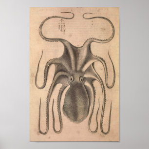 Vintager Kraken-Druck Poster
