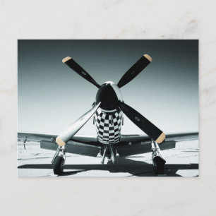 Vintager Kriegsvogel Postkarte