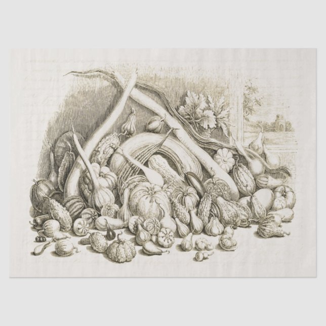 Vintager Kürbisquash Beige Seidenpapier (Vorderseite)