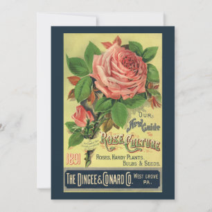 Vintager Leitfaden zur Rose Kulturbuch Kunst, 1891