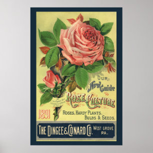 Vintager Leitfaden zur Rose Kulturbuch Kunst, 1891 Poster