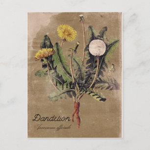 Vintager Lüster mit Blumenpostkarte Postkarte