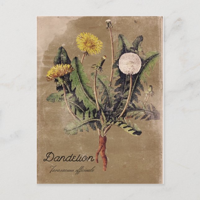 Vintager Lüster mit Blumenpostkarte Postkarte (Vorderseite)