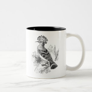 Vintager Madagaskarhoopoe-Vogel-personalisierte Zweifarbige Tasse