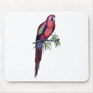 Vintager Makaw Bird Mousepad