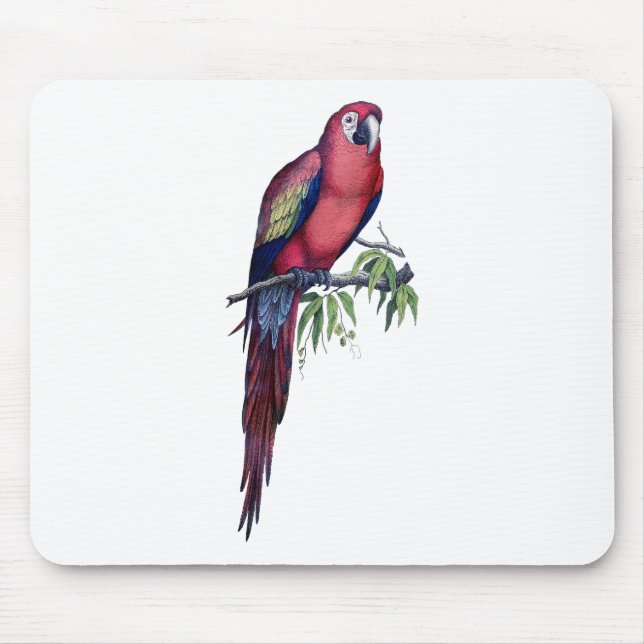 Vintager Makaw Bird Mousepad (Vorne)