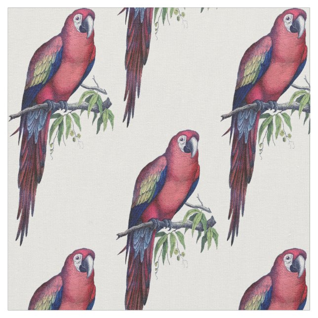 Vintager Makaw Bird Stoff (Nahaufnahme)