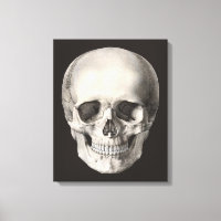 Vintager menschlicher Anatomie Schädel, Halloween-