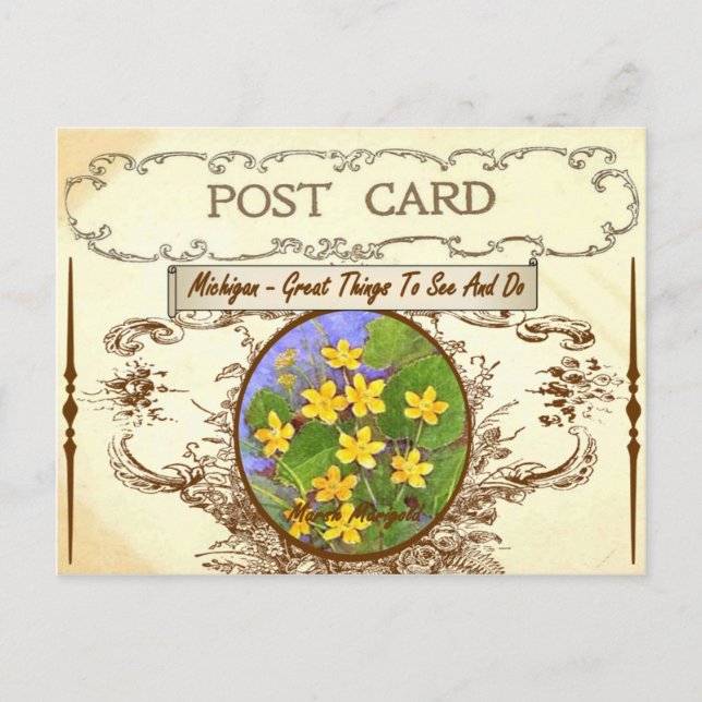 Vintager Michigan Staat Blume Postkarte (Vorderseite)