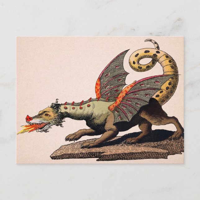 Vintager mittelalterlicher Drache Postkarte (Vorderseite)