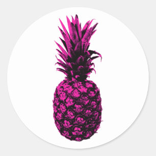 Vintager, moderner tropischer Ananas Runder Aufkleber