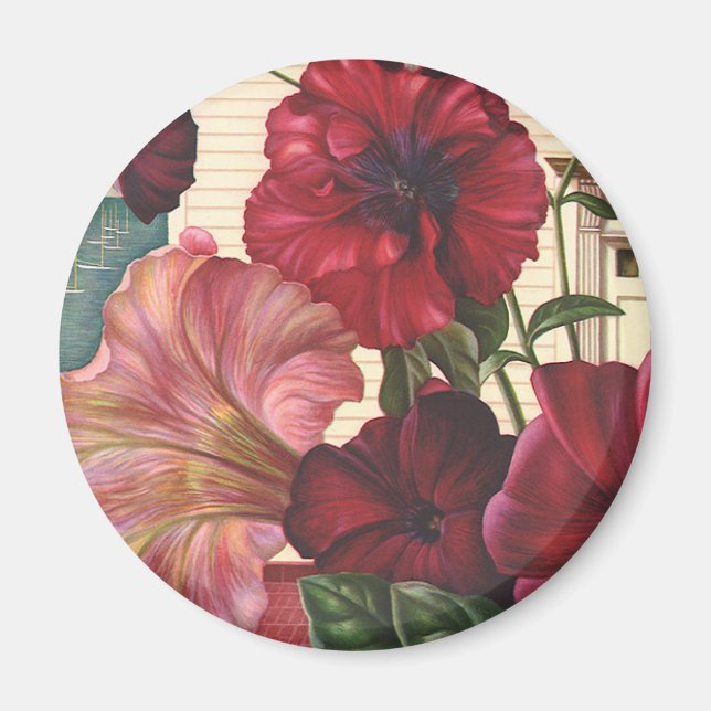 Vintager Morgen Ruhm Blume im Garten Magnet (Vorne)