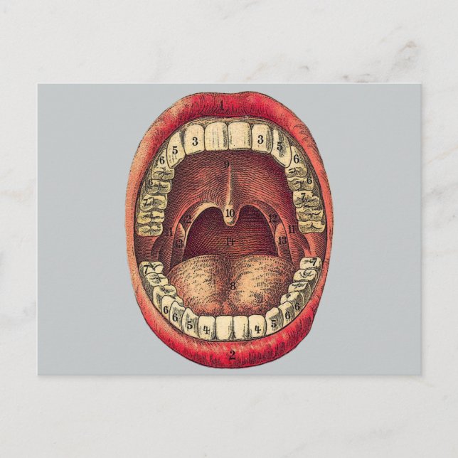 Vintager Mund Postkarte (Vorderseite)