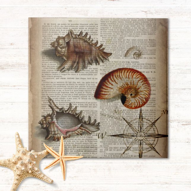 Vintager Muschelbotandruck Fliese (coastal conch vintage seashell botanical print tile)