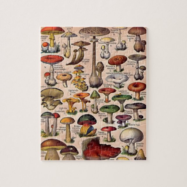 Vintager Mushroom-Guide Puzzle (Vertikal)