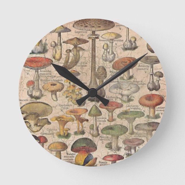 Vintager Mushroom-Guide Runde Wanduhr (Vorderseite)