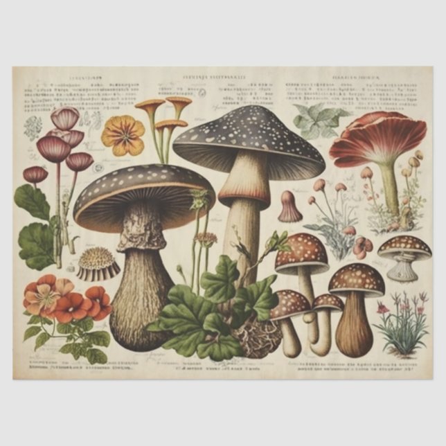 Vintager Mushroom-Kernausschnitt Seidenpapier (Vorderseite)