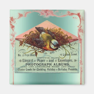 Vintager Nagevogel Rosa aquamarin niedlich elegant Magnet