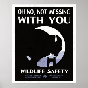 Vintager Nationalpark Wildlife Safety Bison Poster