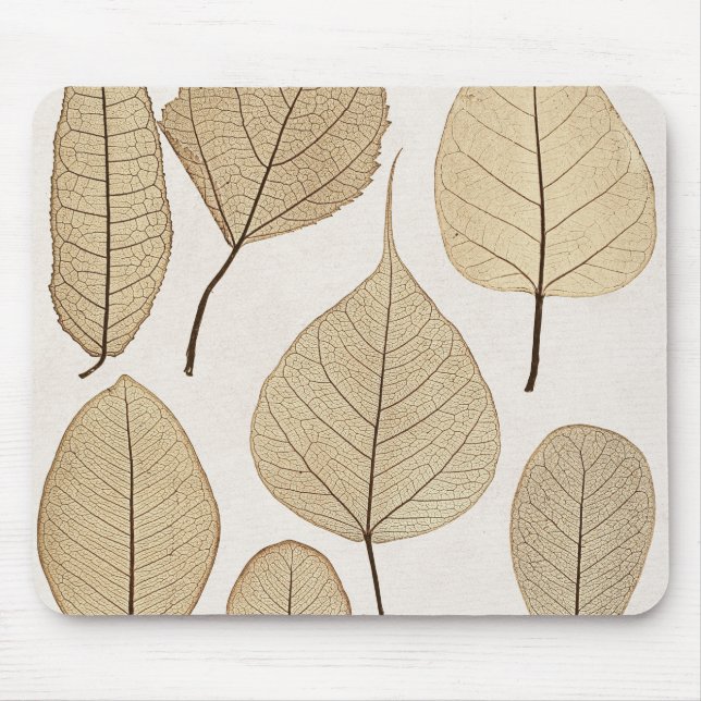 Vintager naturalistischer botanischer Zeichn | Blä Mousepad (Vorne)