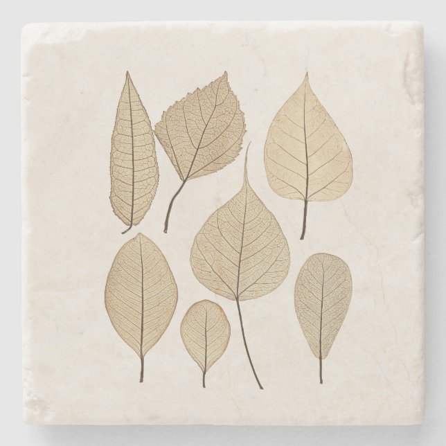 Vintager naturalistischer botanischer Zeichn | Blä Steinuntersetzer (Vorderseite)