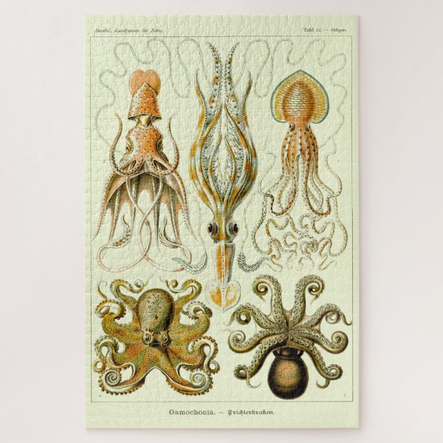 Vintager Nautischer Oktopus von Ernst Haeckel Puzzle (Vertikal)