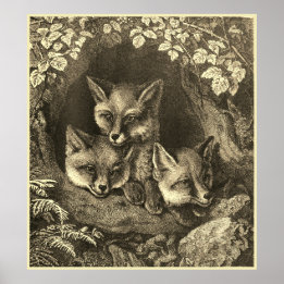 Vintager Nebelwald Poster