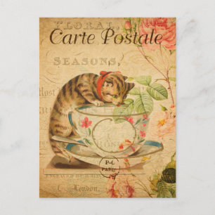 Vintager Niedlicher Cat Drinking of Tea Cup and Sa Postkarte