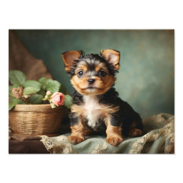 Vintager Niedlicher Welpe Dog Yorkshire Terrier Po Fotodruck