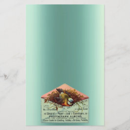 Vintager Nistvogel, aquamariner Pfirsichbraun Briefpapier
