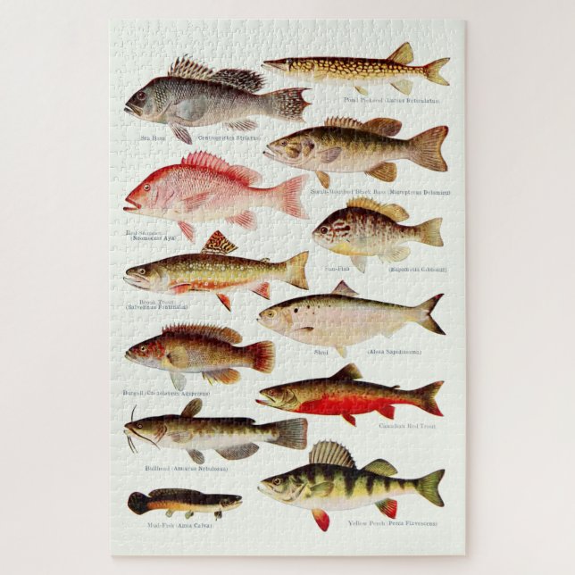 Vintager Nordamerikanischer Fisch Puzzle (Vertikal)