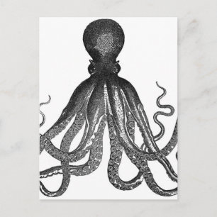 Vintager Octopus Sea Animal Postkarte