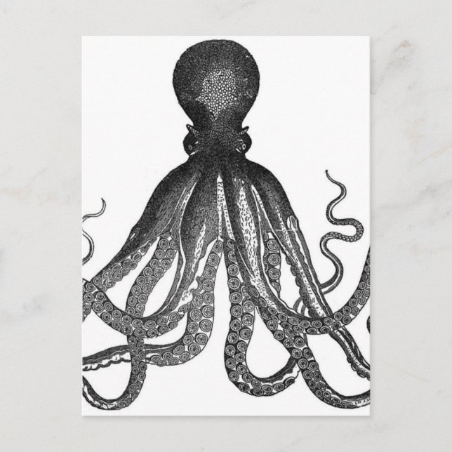 Vintager Octopus Sea Animal Postkarte (Vorderseite)