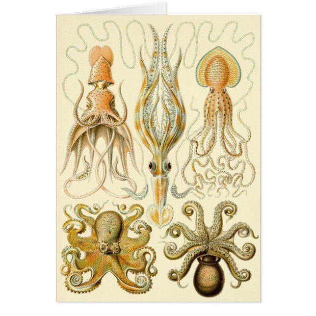 Vintager Octopus-Tintenfisch Gamochonia von Ernst  (Vorne)