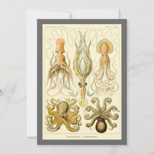 Vintager Octopus-Tintenfisch Gamochonia von Ernst Einladung