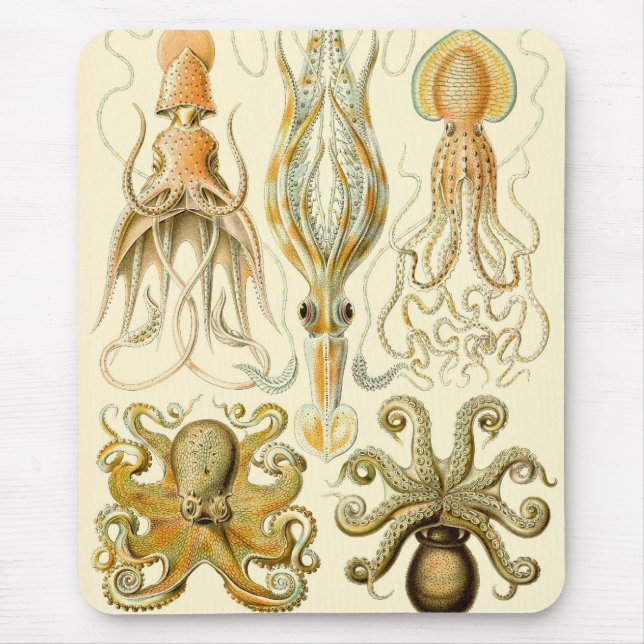 Vintager Octopus-Tintenfisch Gamochonia von Ernst  Mousepad (Vorne)
