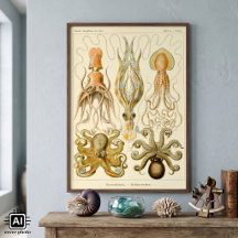 Vintager Octopus-Tintenfisch Gamochonia von Ernst