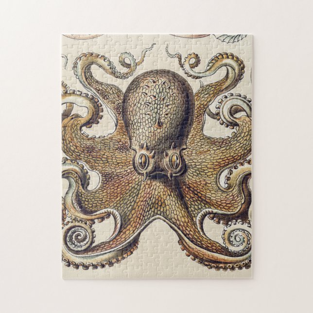 Vintager Octopus-Tintenfisch von Ernst Haeckel Puzzle (Vertikal)