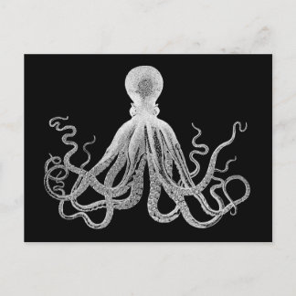 Vintager Oktopus Postkarte