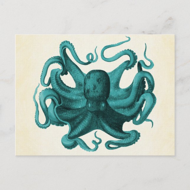 Vintager Oktopus Postkarte (Vorderseite)