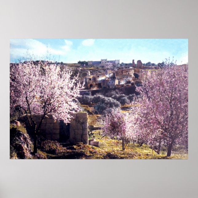 Vintager Olive-Jerusalem-Berg Israel 1950 - 77 Poster (Vorne)