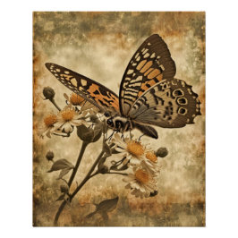 Vintager Orangenschmetterling mit weißen Blume Poster
