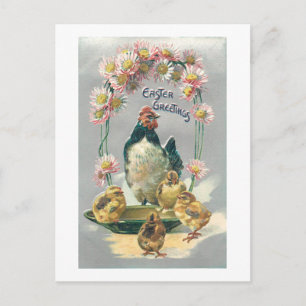 Vintager Osterhen, Chicks & Daisis Postkarte