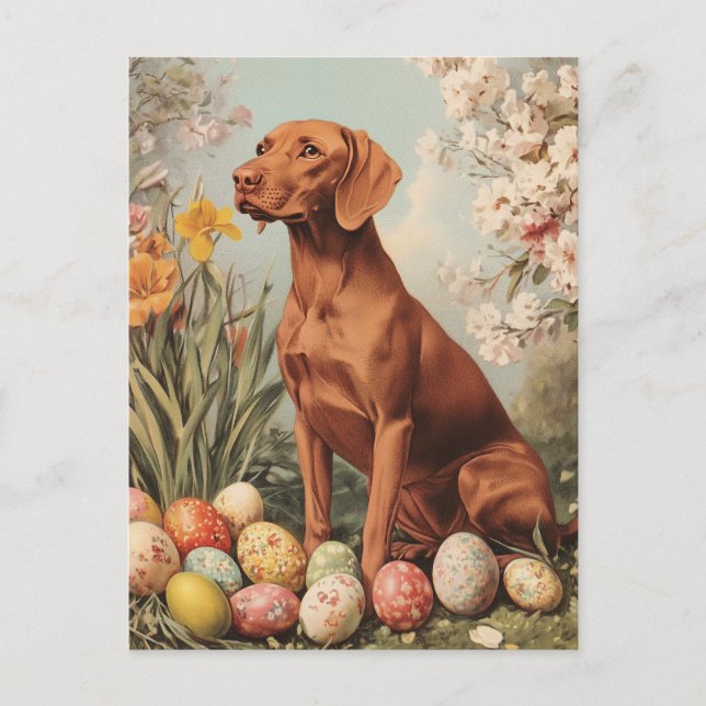 Vintager Ostern von Vizsla Postkarte (Vorderseite)