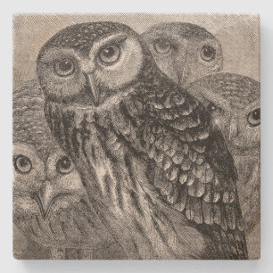 Vintager Owl Family Square Steinuntersetzer