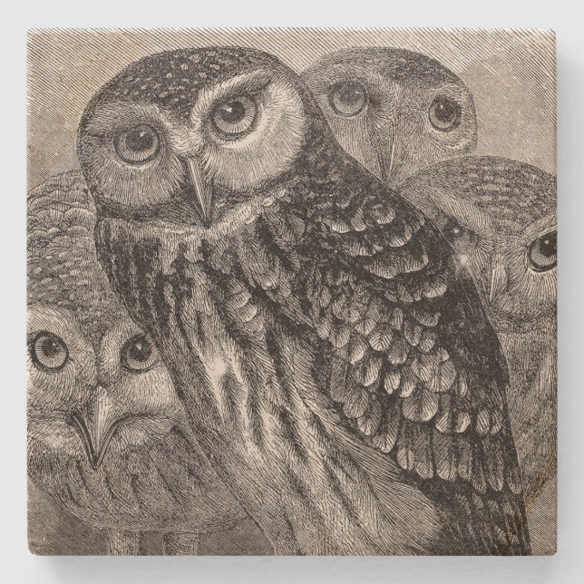Vintager Owl Family Square Steinuntersetzer (Vorderseite)