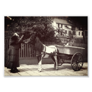Vintager Paint Pony Cart in Juneau, Alaska Fotodruck