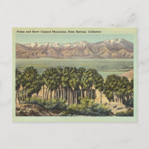 Vintager Palmsprings California Landschaft Postkarte