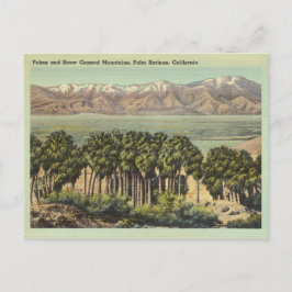 Vintager Palmsprings California Landschaft Postkarte